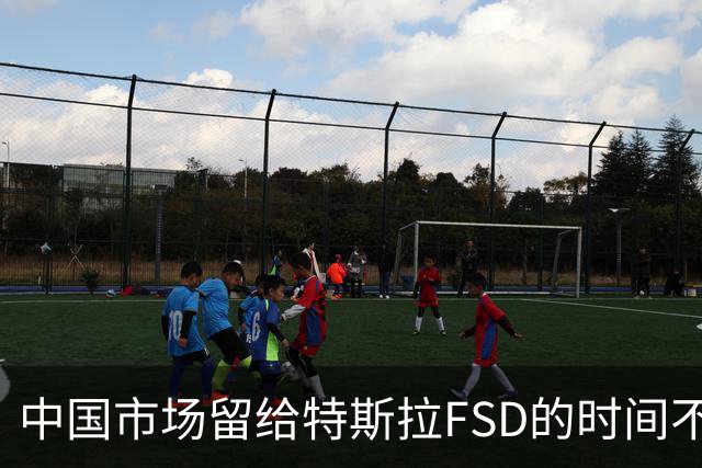 中国市场留给特斯拉FSD的时间不多了？